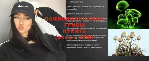 тгк Абаза