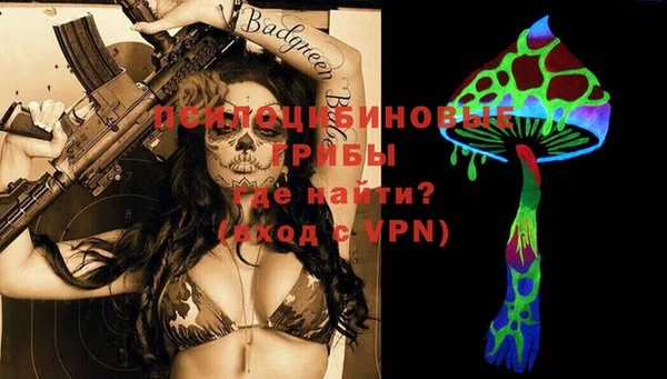 тгк Абаза