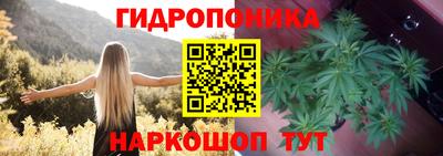 ГАЛЛЮЦИНОГЕННЫЕ ГРИБЫ Усть-Джегута