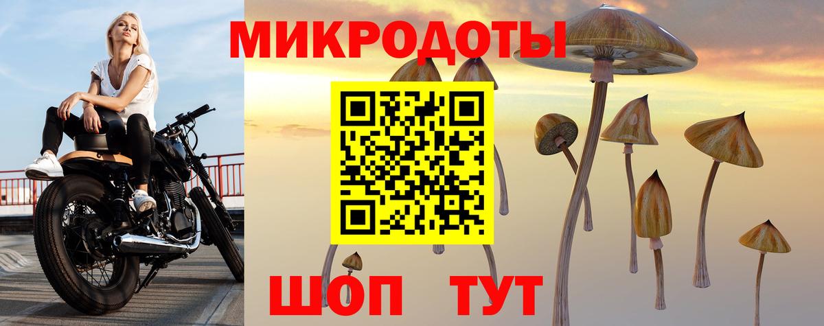 Галлюциногенные грибы GOLDEN TEACHER Отрадный